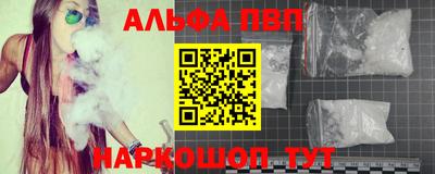 шишки Лесосибирск