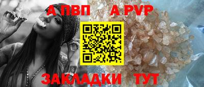 шишки Лесосибирск