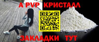 шишки Лесосибирск