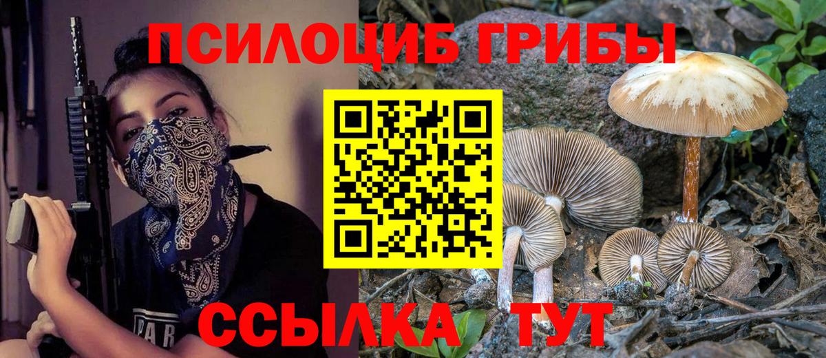 Донецк  Галлюциногенные грибы ЛСД  Вход с VPN  Псилоцибиновые грибы прущие грибы 