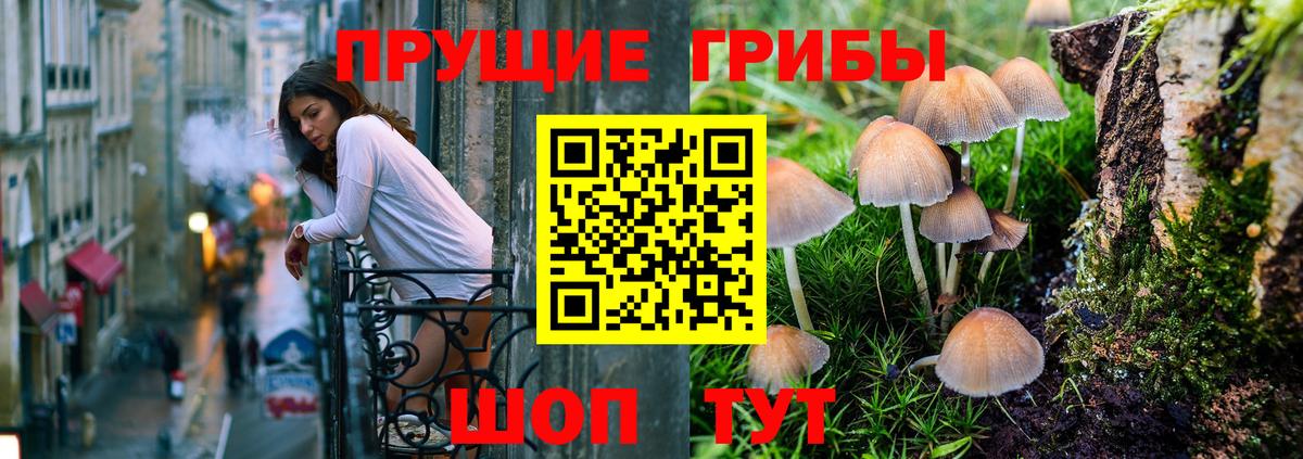Галлюциногенные грибы Psilocybine cubensis Донецк